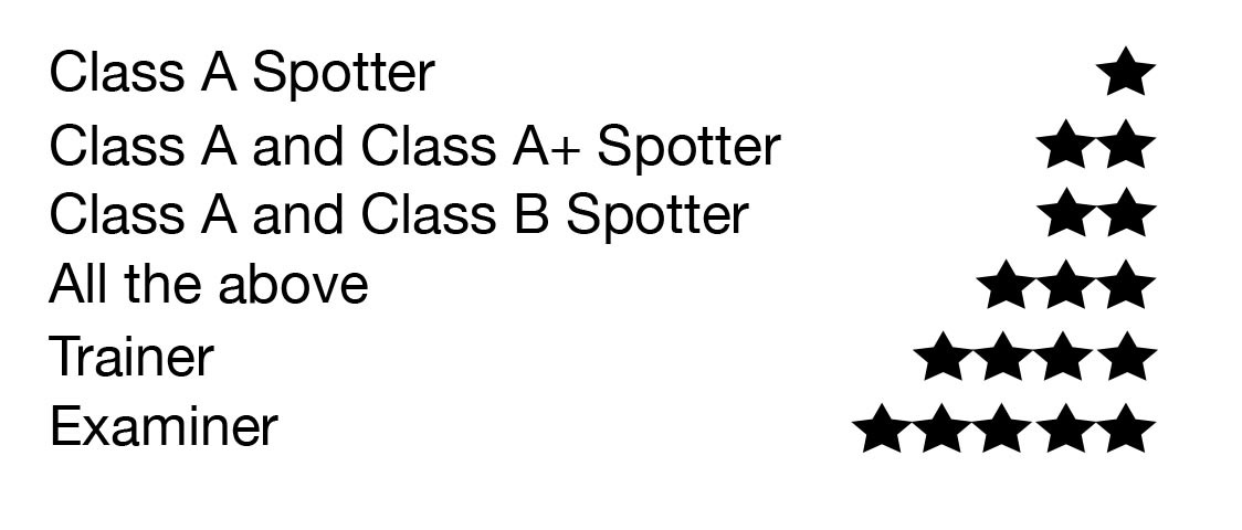 TI Star Rating System Image